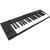 IK MULTIMEDIA IRIG KEYS 2 PRO